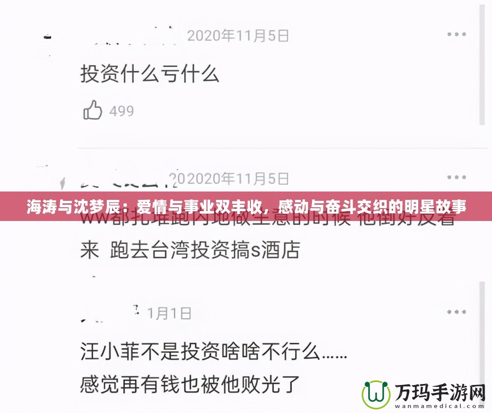 海濤與沈夢辰：愛情與事業(yè)雙豐收，感動與奮斗交織的明星故事