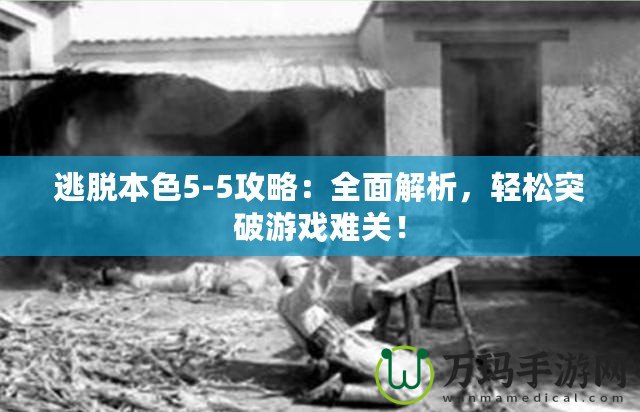 逃脫本色5-5攻略：全面解析，輕松突破游戲難關(guān)！