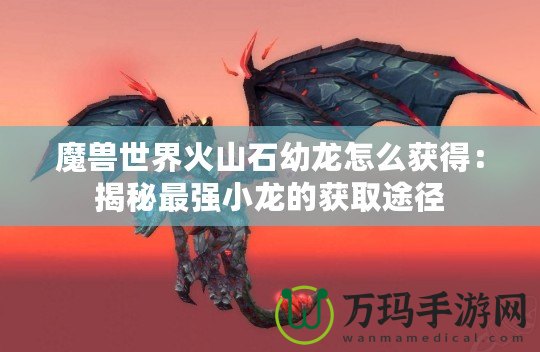 魔獸世界火山石幼龍怎么獲得：揭秘最強小龍的獲取途徑