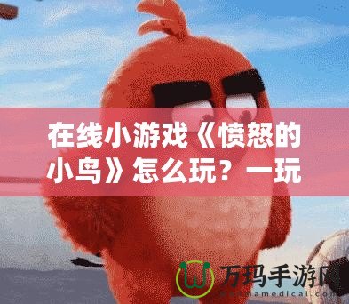 在線小游戲《憤怒的小鳥(niǎo)》怎么玩？一玩就上癮的技巧與攻略