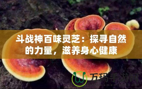 斗戰(zhàn)神百味靈芝：探尋自然的力量，滋養(yǎng)身心健康