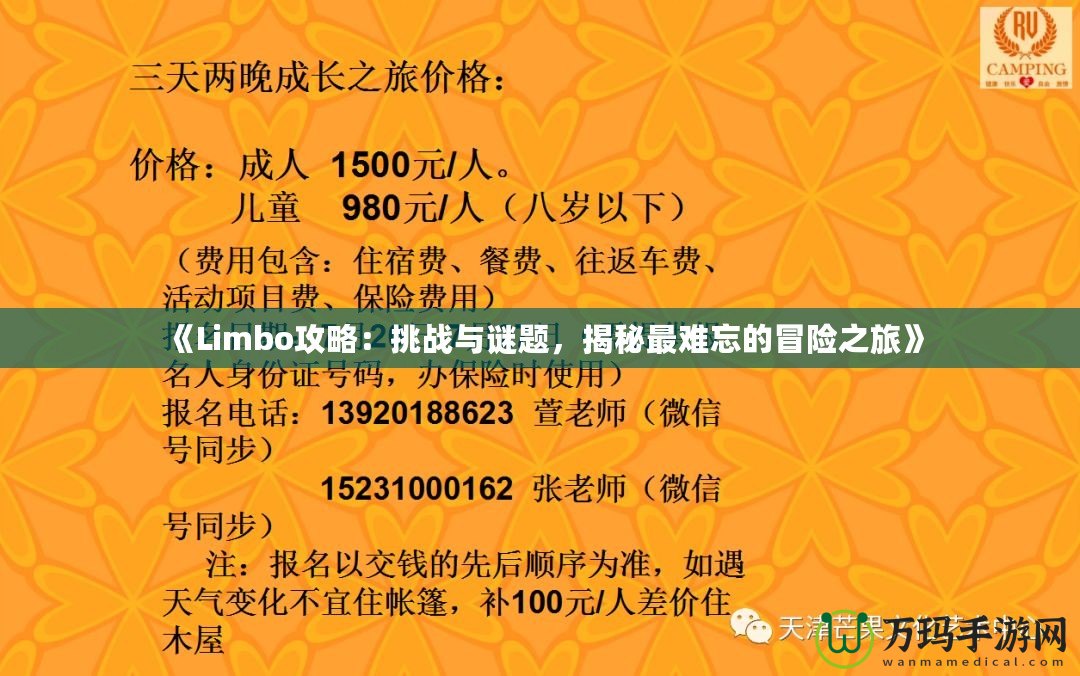 《Limbo攻略：挑戰(zhàn)與謎題，揭秘最難忘的冒險(xiǎn)之旅》