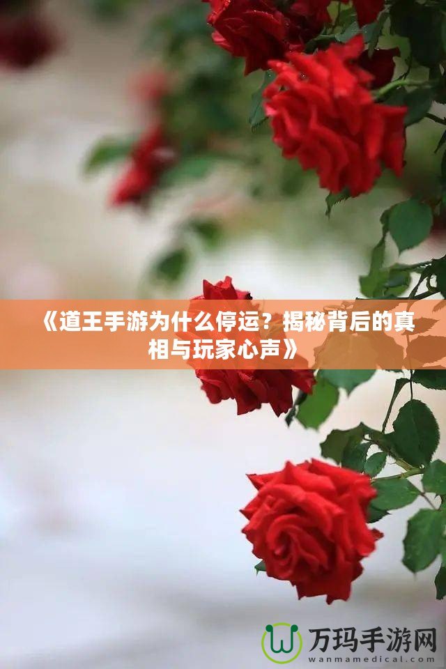 《道王手游為什么停運(yùn)？揭秘背后的真相與玩家心聲》