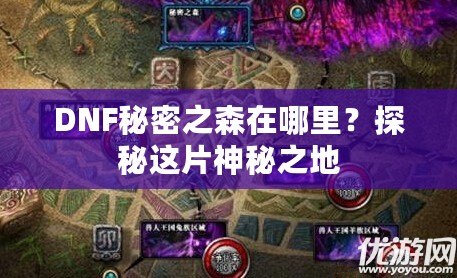 DNF秘密之森在哪里？探秘這片神秘之地