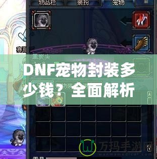 DNF寵物封裝多少錢？全面解析封裝寵物的價值與技巧