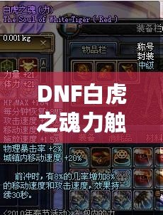 DNF白虎之魂力觸發(fā)幾率解析：讓你的戰(zhàn)斗更加震撼！